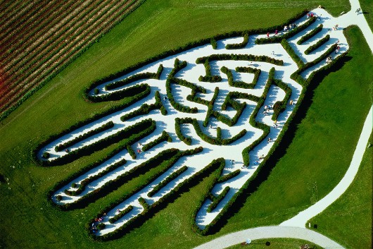 Labyrinth